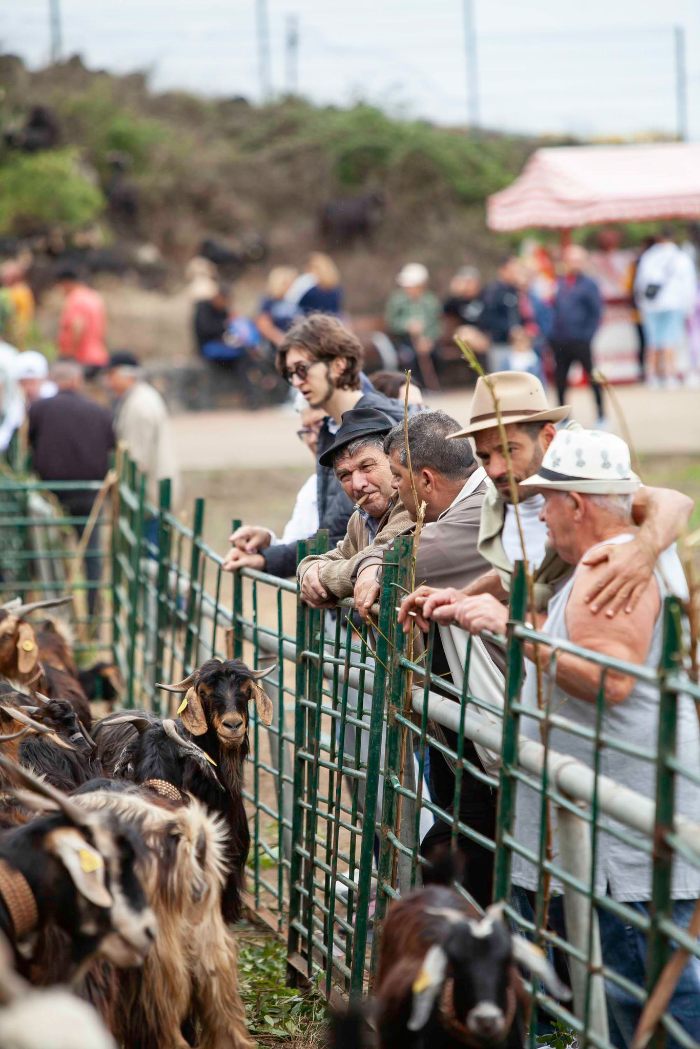 WhatsApp Image 2024-09-07 at 15.53.57 (3)