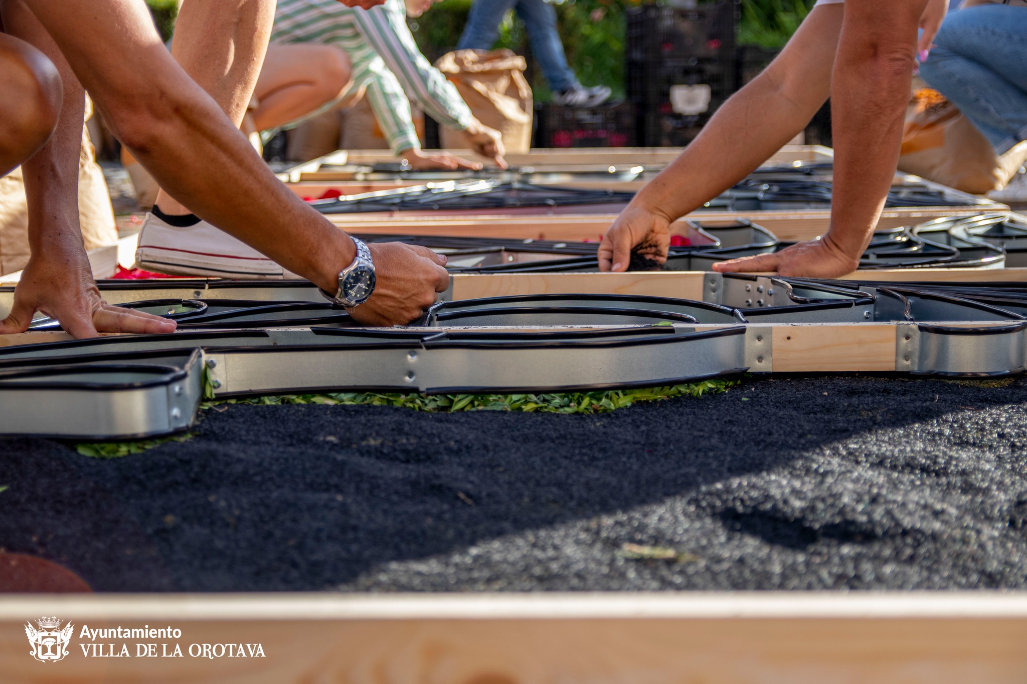 354052674_656658983171221_1132069338780747741_n