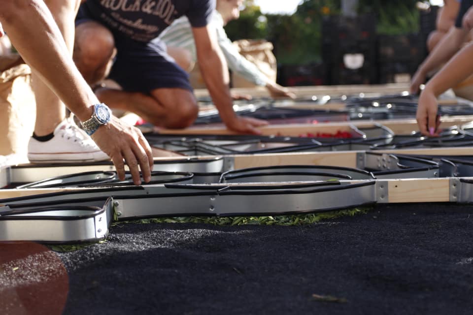 354231218_656476869856099_8151477652457170201_n