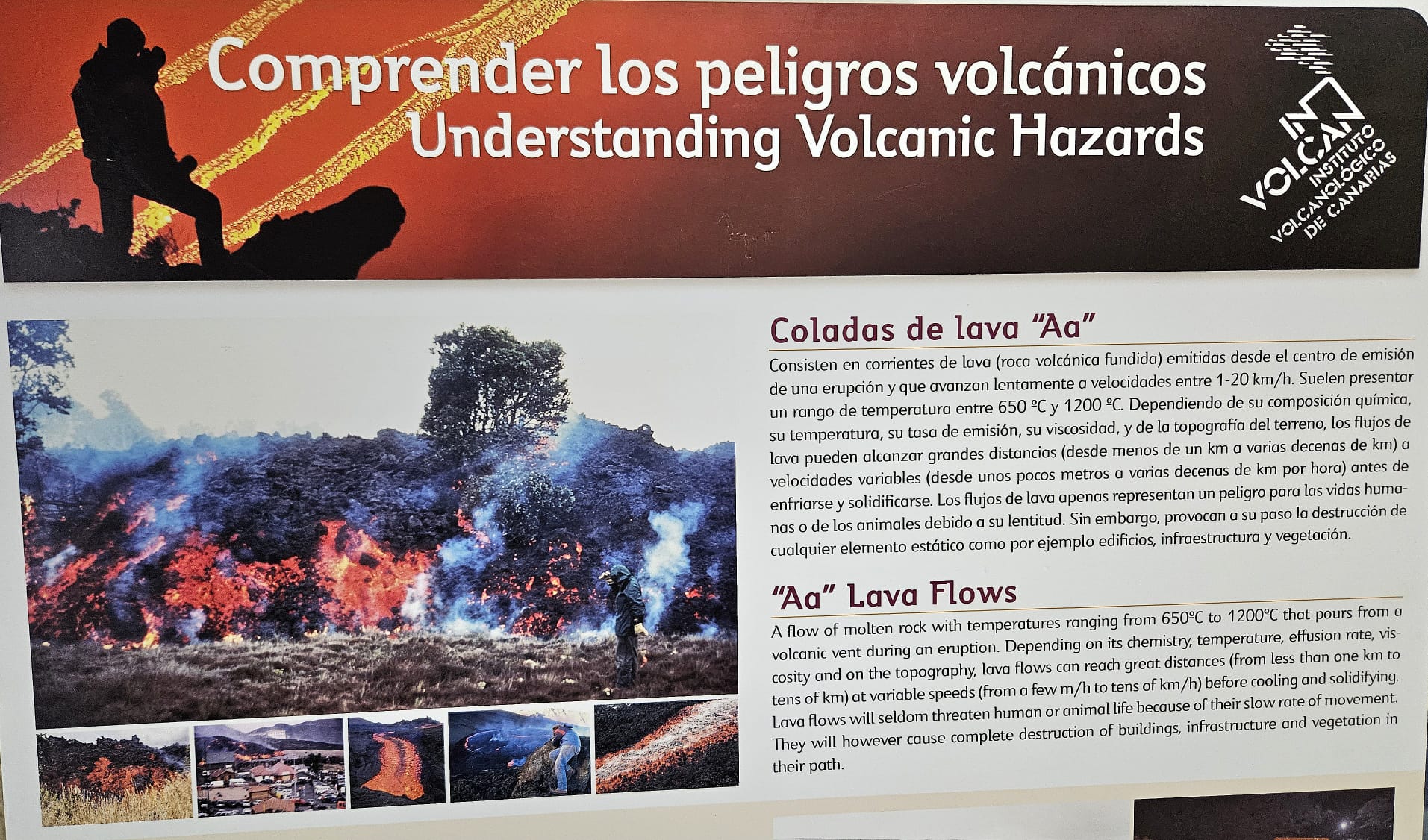 WhatsApp Image 2024-05-16 at 12.39.45