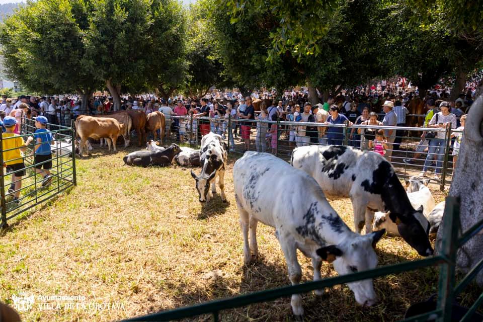 354272726_657815963055523_3025355684426650429_n