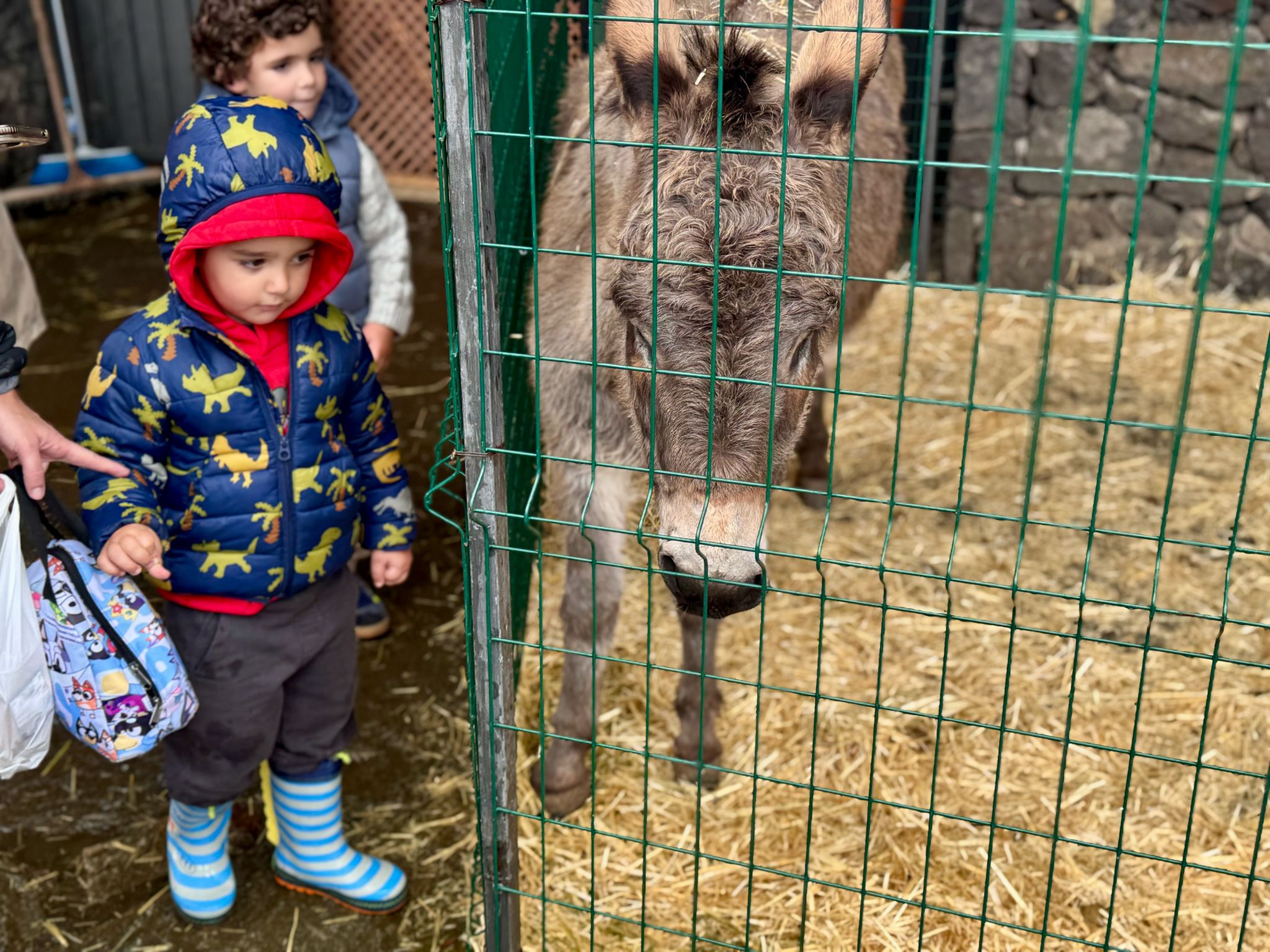 1f550969-abf2-44cb-8b38-fa0425e067f8