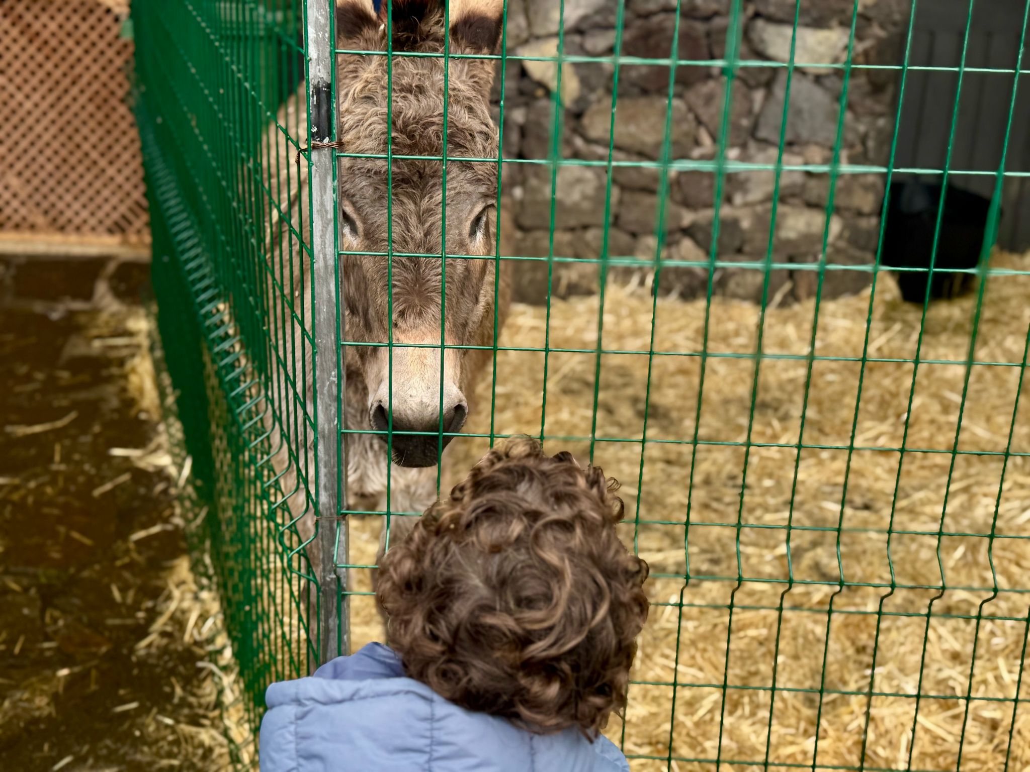 a7677df9-ae9c-41d0-b93b-410e8f88a9d9