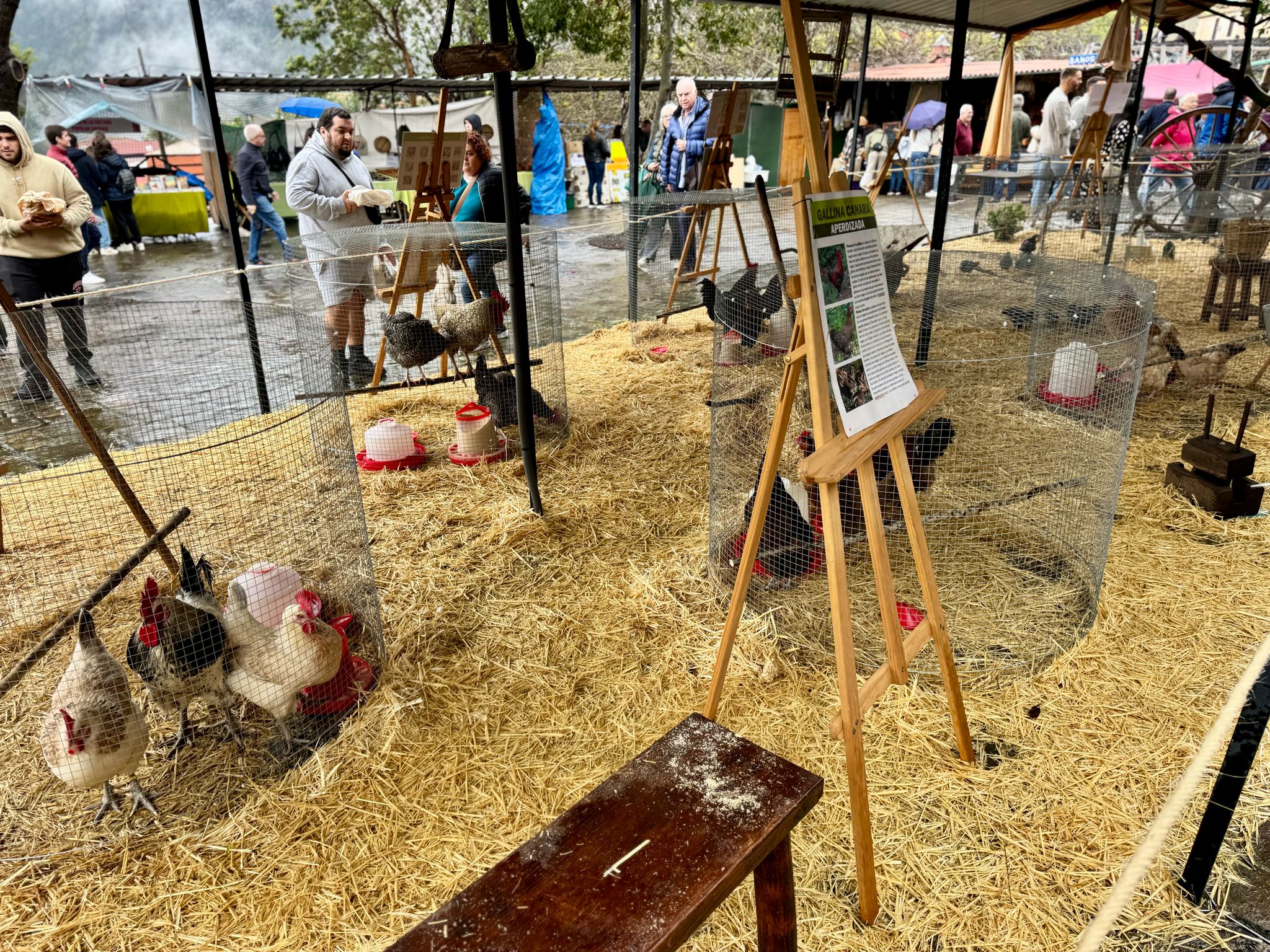 a8272c80-2744-40e7-a524-d164a76a614f