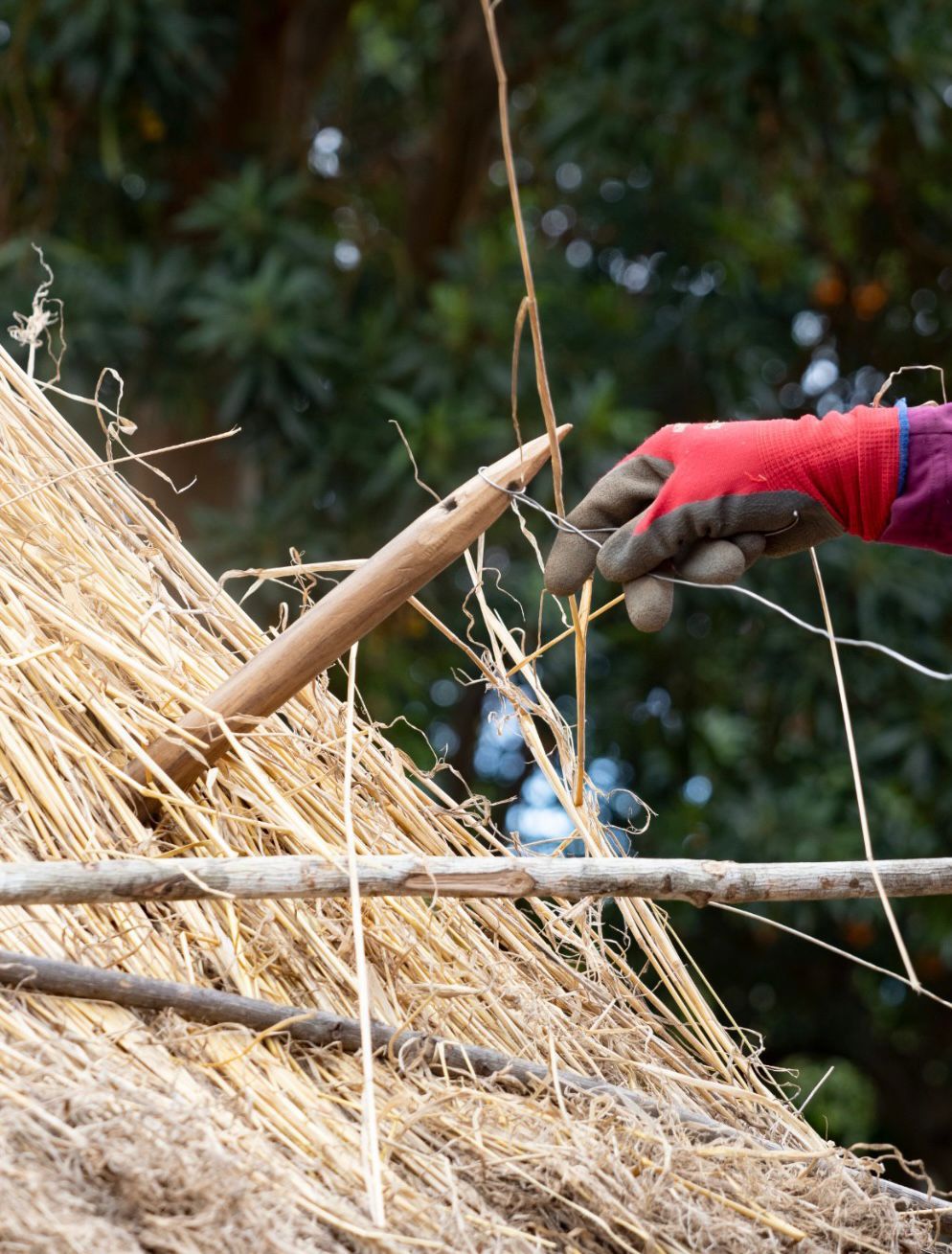 WhatsApp Image 2023-11-20 at 18.38.05 (1)