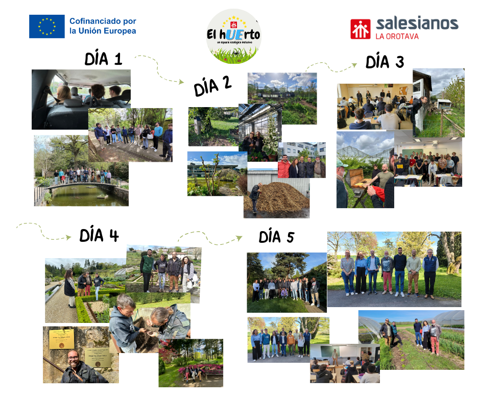 Diseño sin título-3