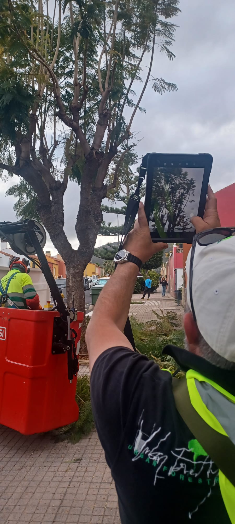 5eaee53b-8955-47ca-b754-9dfe30edd4af