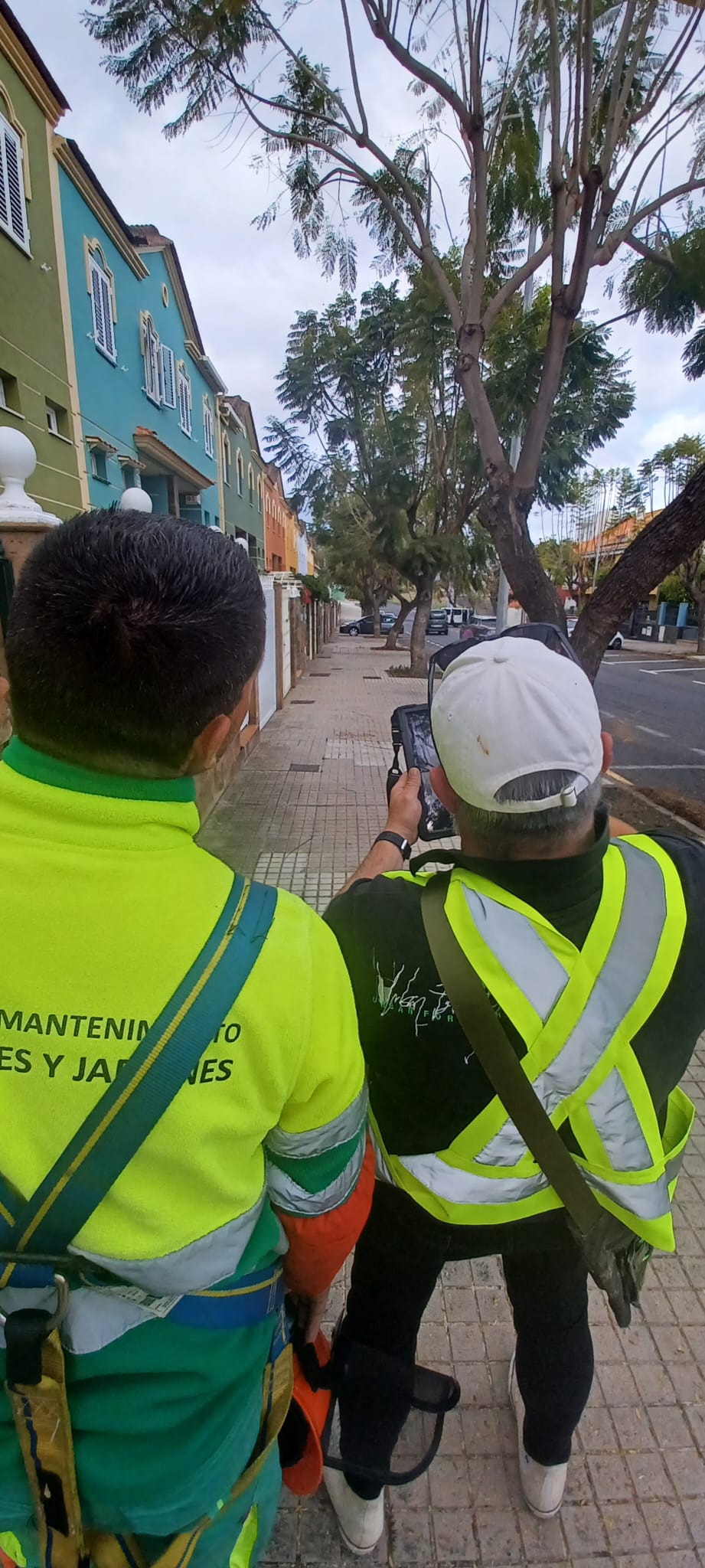 cd57270d-bb4b-483c-9ecf-2f9595a95267