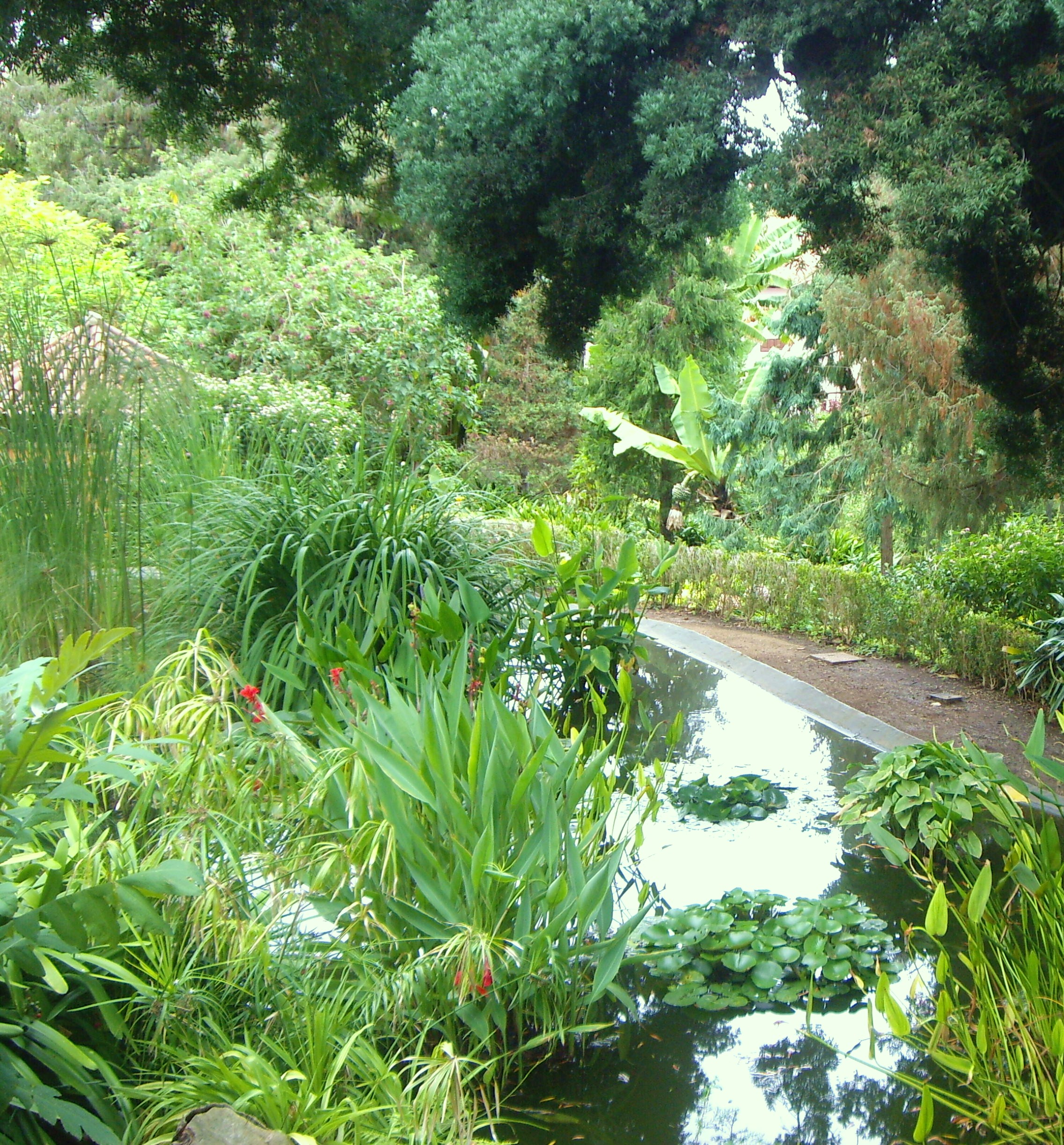 001. Hijuela del Botánico.