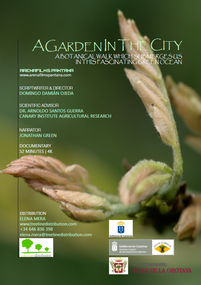 a_garden_in_the_city_1