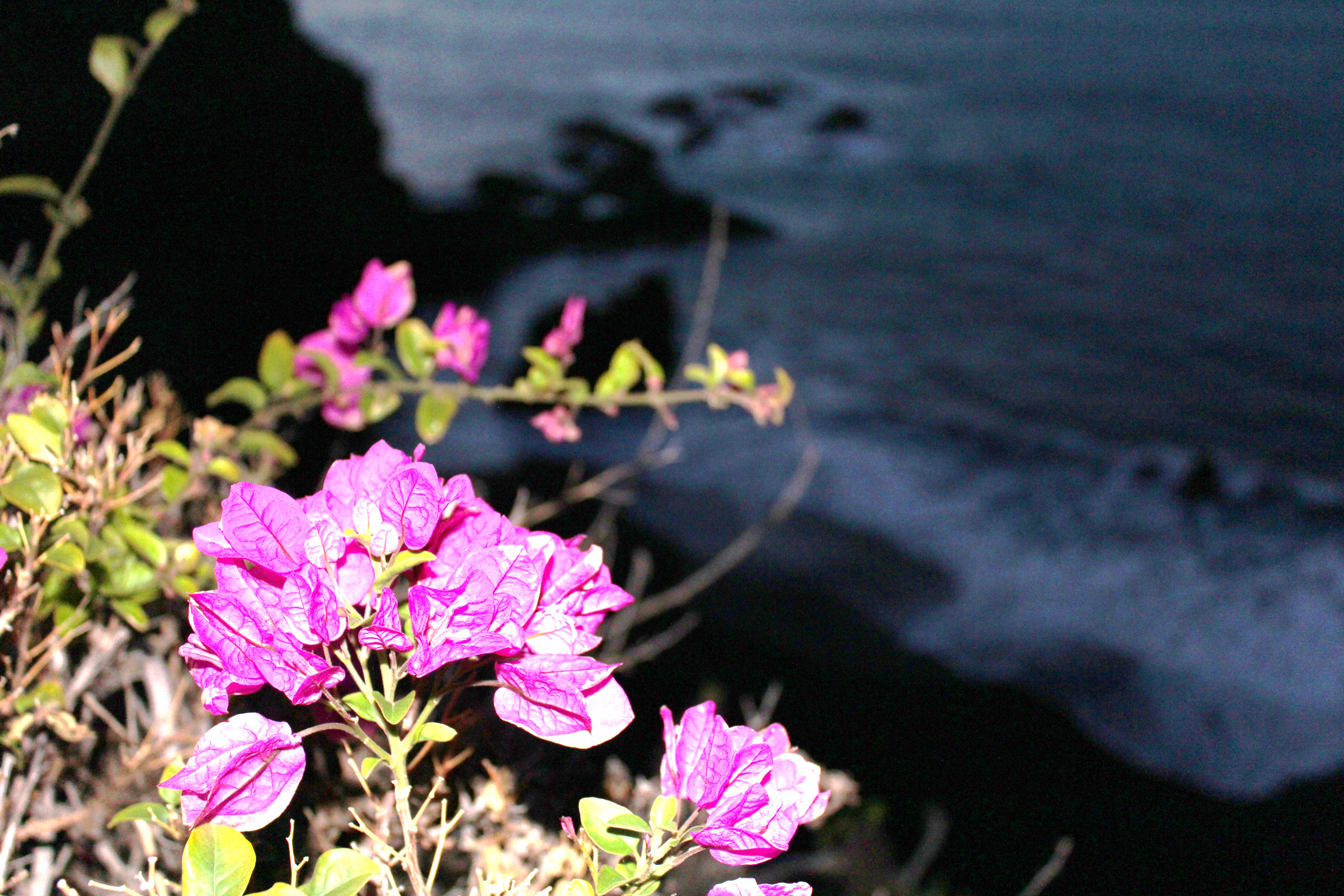 Mirador-Bollullo-009