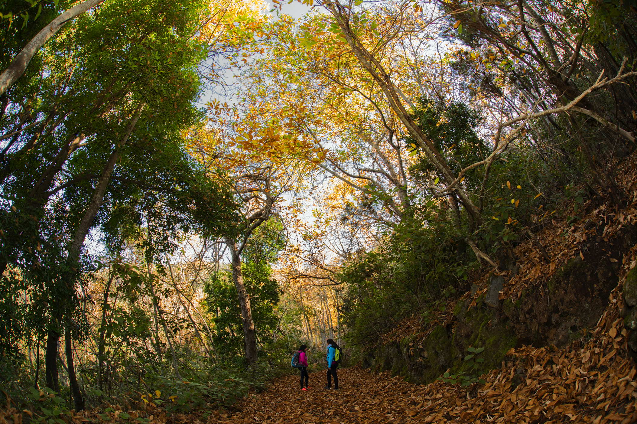 Captura de pantalla 2017-07-05 a las 17.58.26