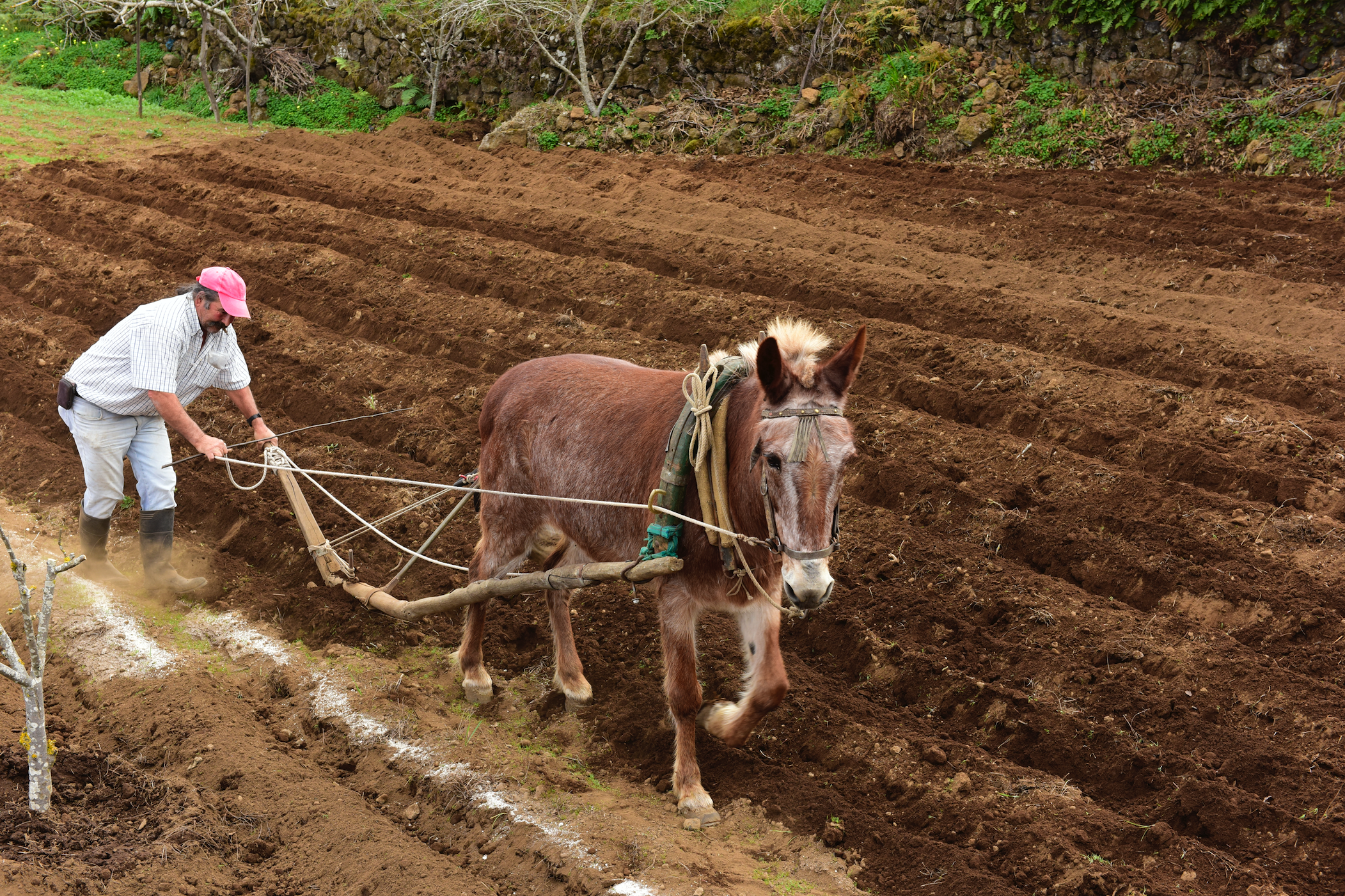 Captura de pantalla 2017-07-05 a las 17.59.18