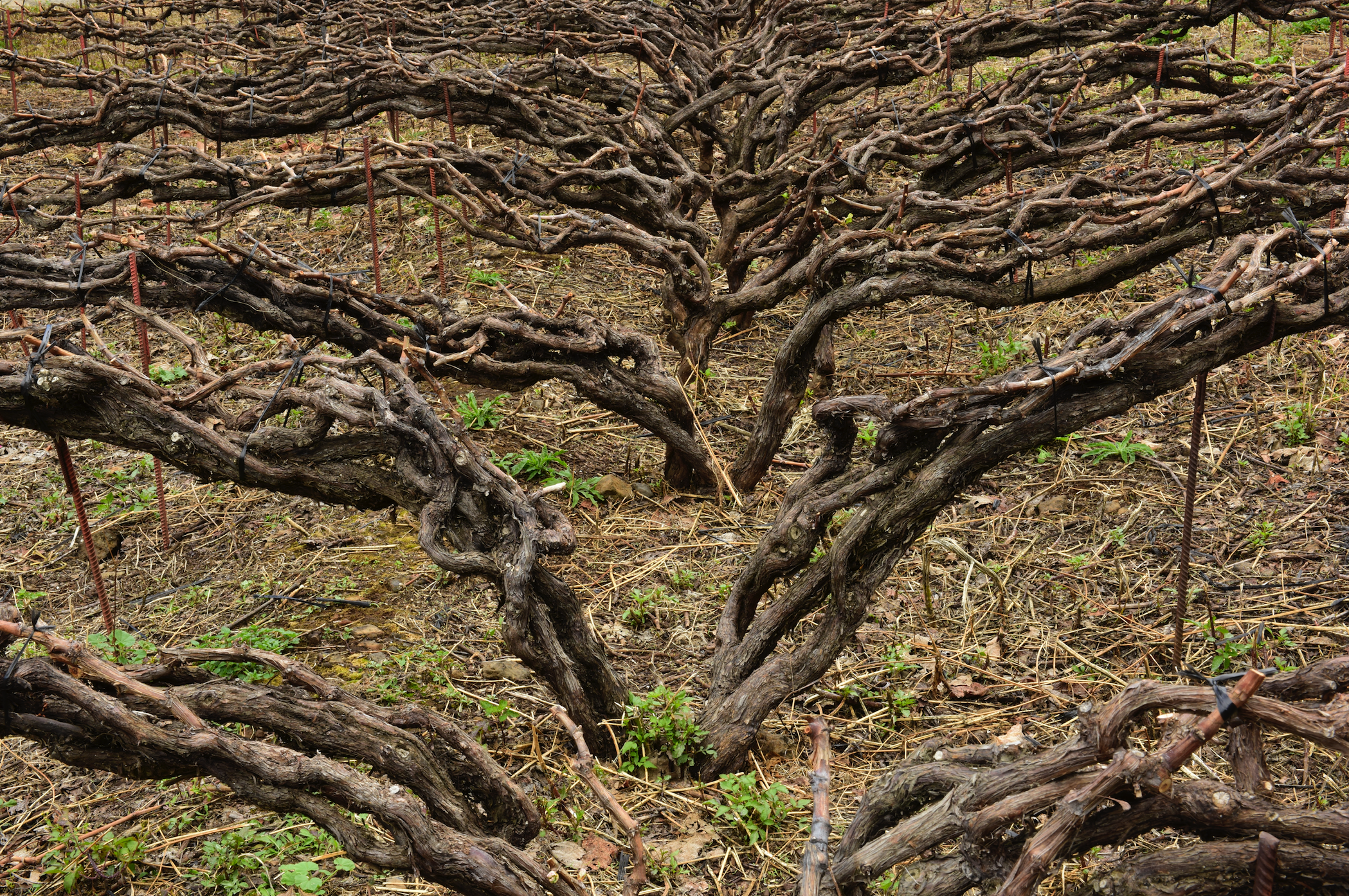 Captura de pantalla 2017-07-05 a las 21.53.08