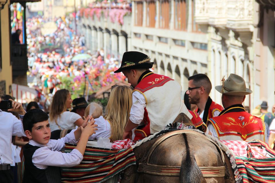 77e45bd5-c8d4-4bd4-851a-792581da0d69