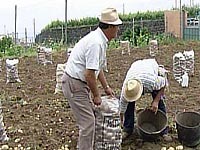 Agricultores