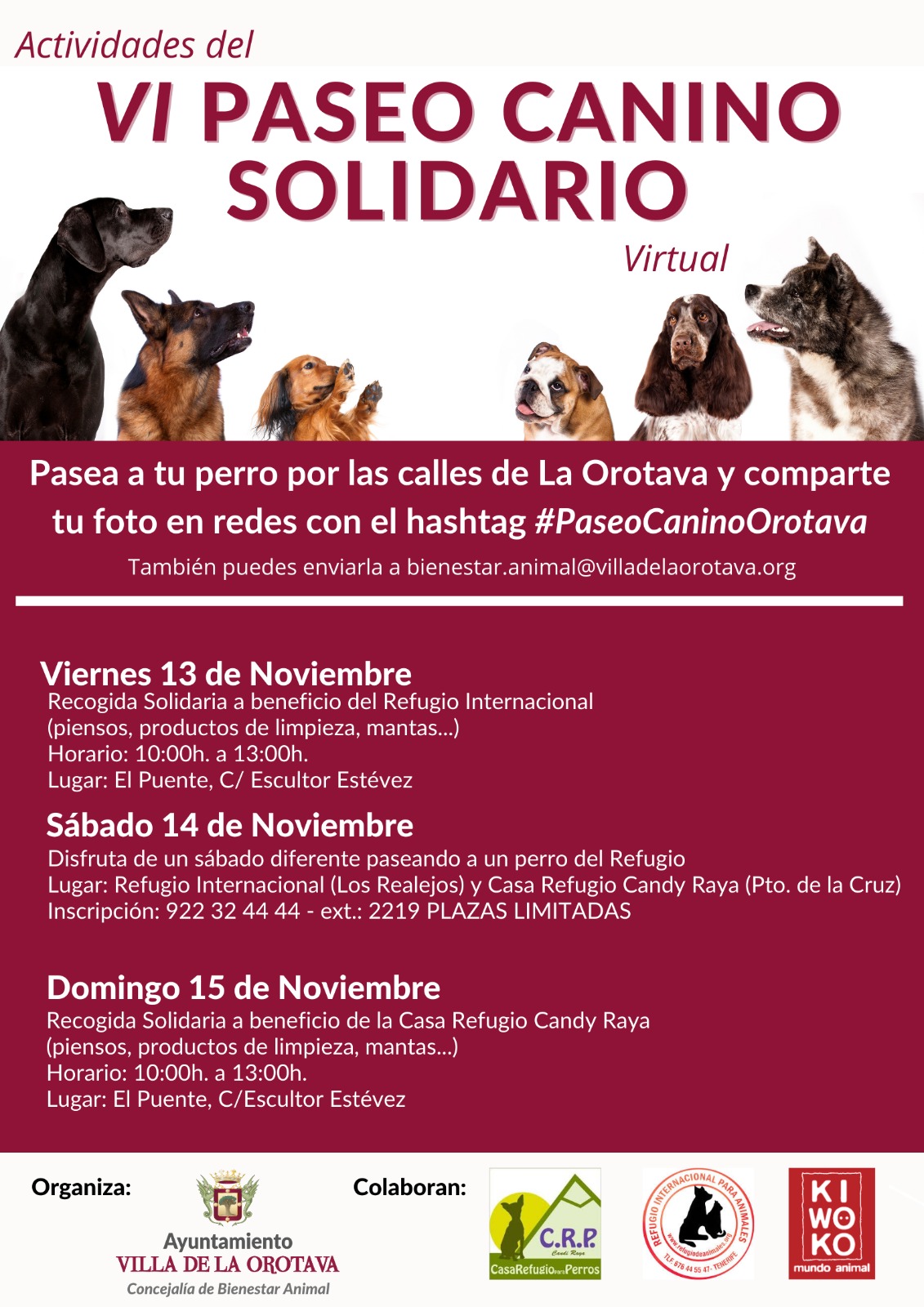 El Ayuntamiento de La Orotava organiza el Paseo Canino Solidario Virtual Se celebrarán diferentes recogidas solidarias entre los próximos días 13 y 15 de noviembre a beneficio de diferentes refugios El consistorio orotavense invita a los vecinos y vecinas a pasear sus perros por las calles de la Villa y a compartir la foto en redes con el hashtag #PaseoCaninoLaOrotava