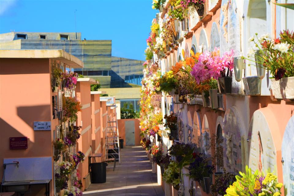 El acceso al Cementerio de La Orotava del 28 de octubre al 1 de noviembre será con cita previa El Ayuntamiento de La Orotava informa de que, con motivo de la actual situación de crisis sanitaria generada por la pandemia mundial de la Covid 19, se tienen que tomar rigurosas medidas de control para poder mantener abierto el cementerio municipal en los días que se prevé mayor afluencia de público por la festividad de Todos los Santos y de los Fieles Difuntos.