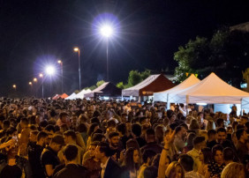 12 bodegas y doce espacios gastronómicos en la Presentación de la Cosecha de Vinos 2018