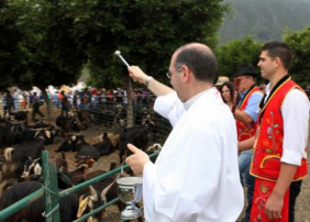 La Feria de Ganado reunirá más de 2.500 cabezas de ganado en el recinto de Las Dehesas 