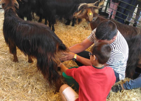 Tienen de fecha hasta el próximo 24 de noviembre