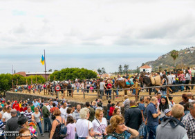 Miles de personas acudieron al tradional encuentro celebrado en Las Dehesas