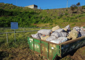 Contenedores para depositar las papas dañadas por la polilla