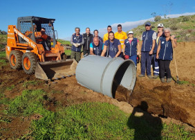 Concluyen las primeras acciones de control del rabogato