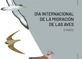 CONMEMORACIÓN DEL DÍA INTERNACIONAL DE LA MIGRACIÓN DE LAS AVES