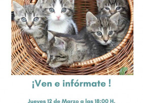 REUNIÓN INFORMATIVA SOBRE EL PROYECTO CES, PARA EL CONTROL DE COLONIAS DE GATOS ABANDONADOS
