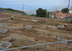 Acondicionamiento y forestación del Recinto Ferial de Benijos