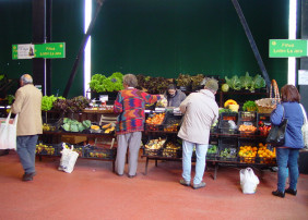 Isabel Cabrera aporta 50.000 metros cuadrados de cultivo al Mercadillo Valle de La Orotava